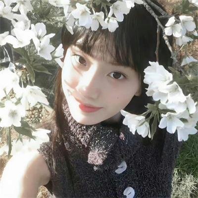 湾生回家
